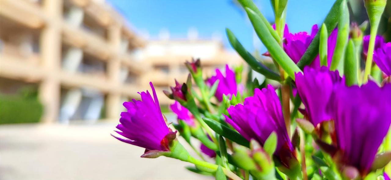 Apartamento Playa Sur By Denia Costa Apartment Exterior foto